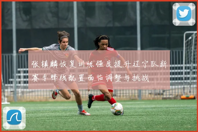 张镇麟恢复训练强度提升辽宁队新赛季锋线配置面临调整与挑战